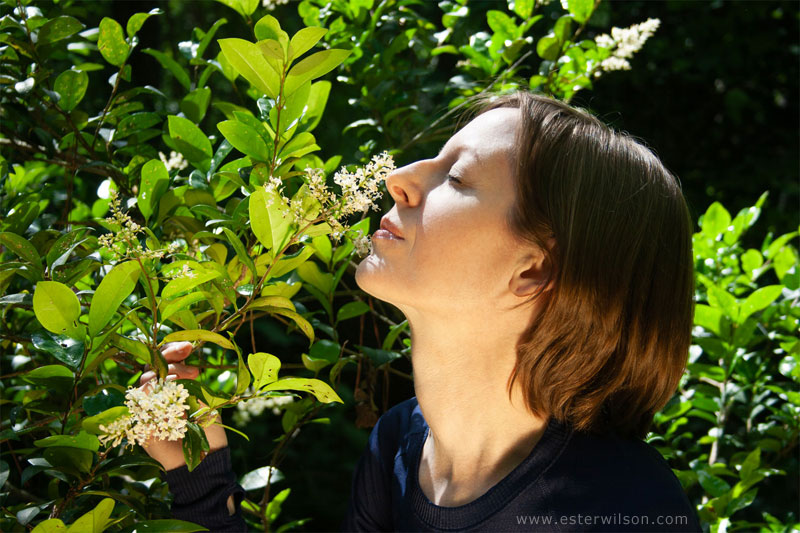 Ester Wilson Artist Portrait