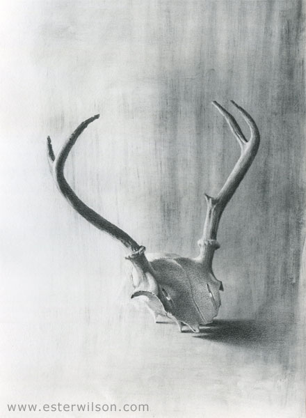 Antlers