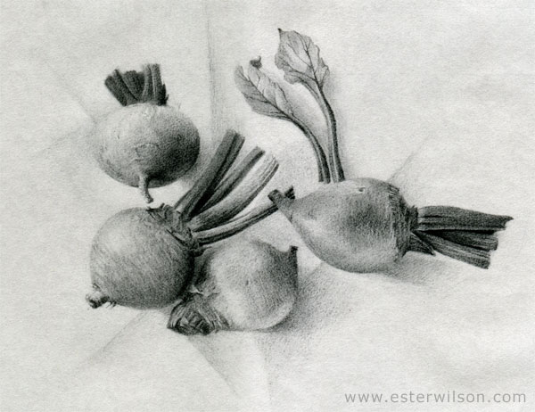 Beets Drawing