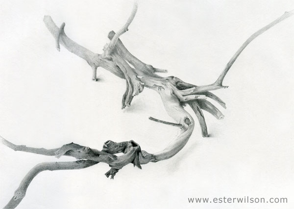 Branch