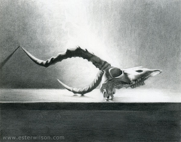 Kudu