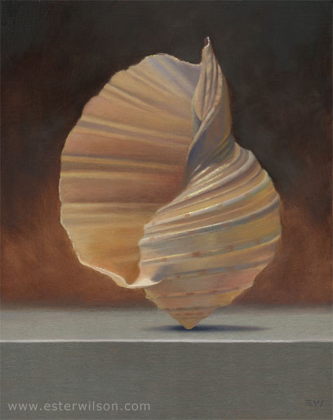 Ocean Spiral