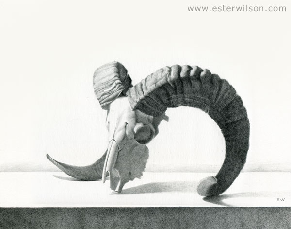Ram