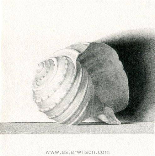 Shell