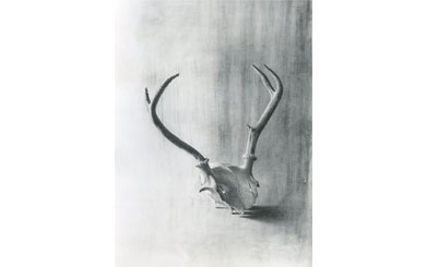Antlers