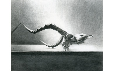 Kudu