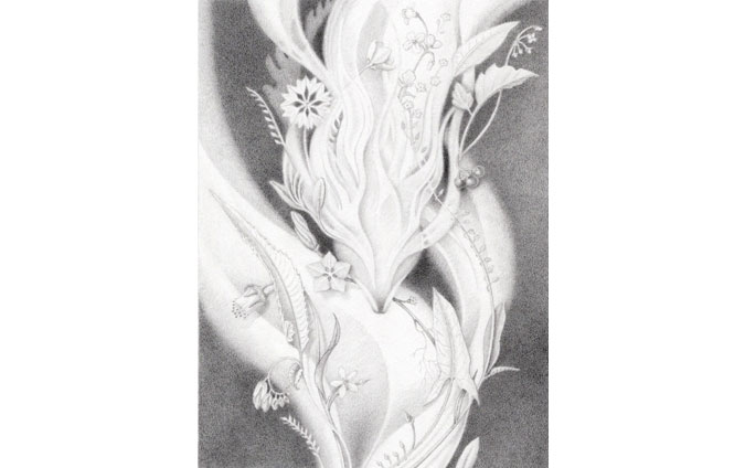 Nightshade Drawing