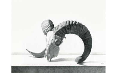 Ram