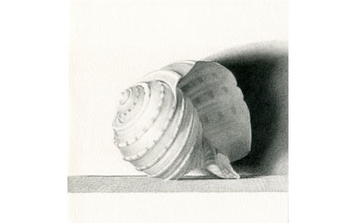 Shell