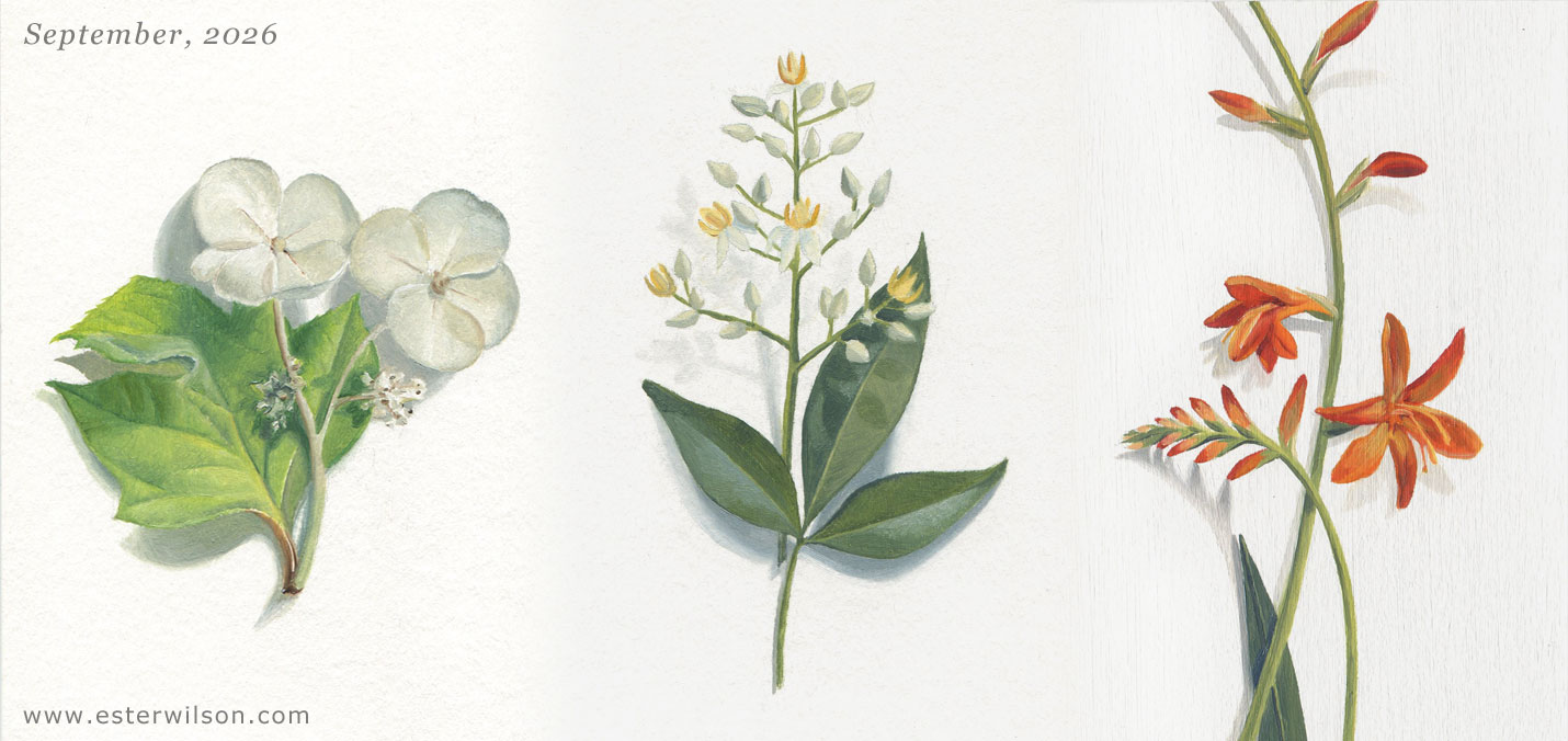 Ester Wilson Artwork